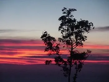 Mango Sunset Bnb Inn At Lyman Organic Kona Coffee Farms Kalaoa United States